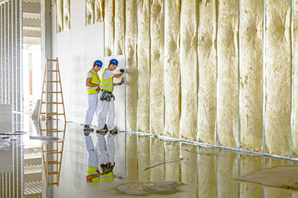 Best Insulation Materials and Products in Pine City, MN